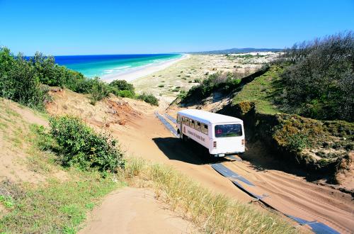 タンガルーマアイランドリゾートのノースサファリツアー