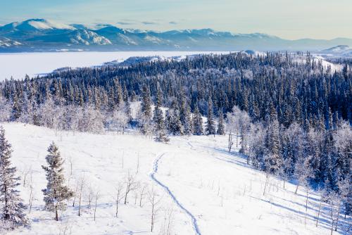 冬のホワイトホース