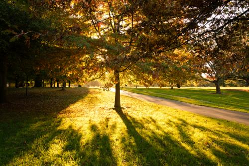 クライストチャーチのハグレイ公園