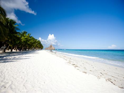 アロナビーチ　イメージ