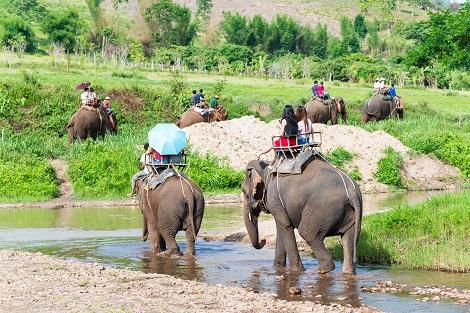 チェンマイ郊外:エレファントキャンプ
