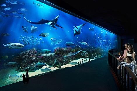 Ocean Gallery (S.E.A. Aquarium)