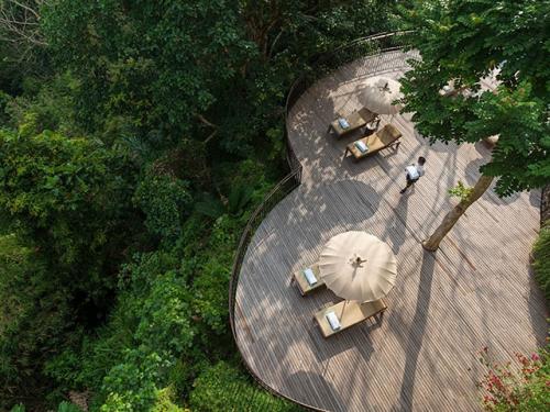 コマネカタンガユダ テラス