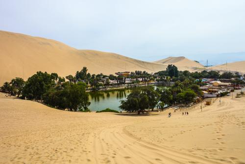 砂の大地に突然現れる活気に満ちたオアシス都市『ワカチナ』(イメージ)