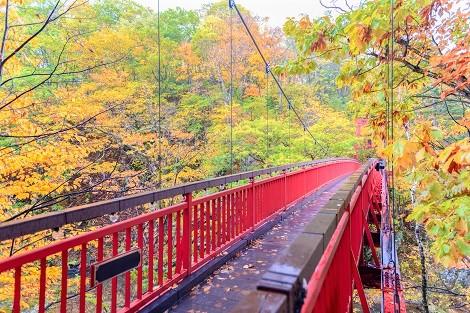 定山渓温泉:色づく秋の二見吊橋(イメージ)