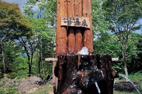 ニセコ:甘露の森 名物の甘露水(甘露の森公式ホームページより)