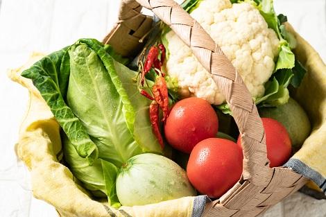 新鮮野菜もニセコの魅力♪