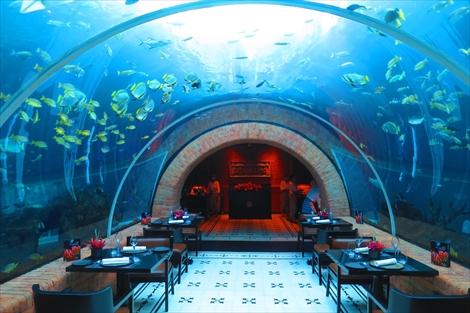 SNSなどで話題になった水族館レストラン