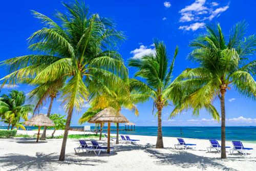 メキシコのユカタン半島、カンクン州のカリブ海の海岸に熱帯の風景とココナツヤシ