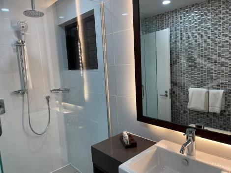 ザ パームス デナラウ フィジー 大きな鏡のついたシャワールーム