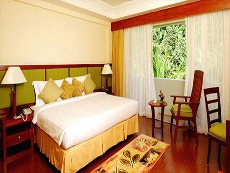 カリムリゾート デラックスルーム イメージ