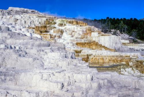 イエローストーン国立公園