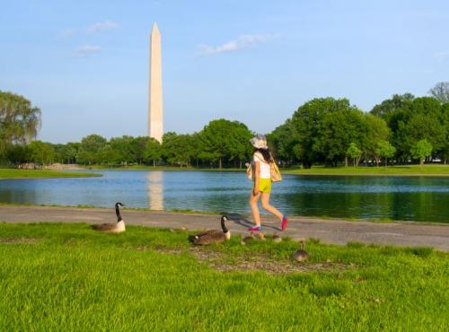 ワシントン記念塔（イメージ）