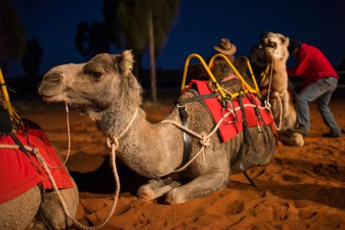 ウルル カタジュタ国立公園（イメージ）