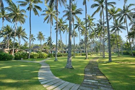 チャンディ ビーチ リゾート　ココナッツの木立の緑豊かな木陰