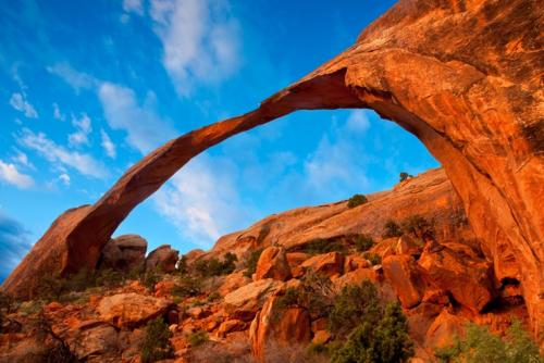 ランドスケープアーチ