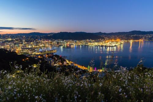 ヴィクトリア山からの景色