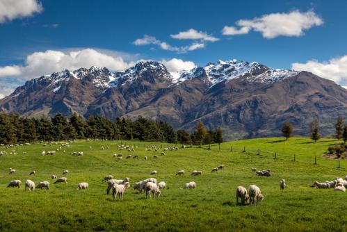クイーンズタウン周辺の風景(イメージ)