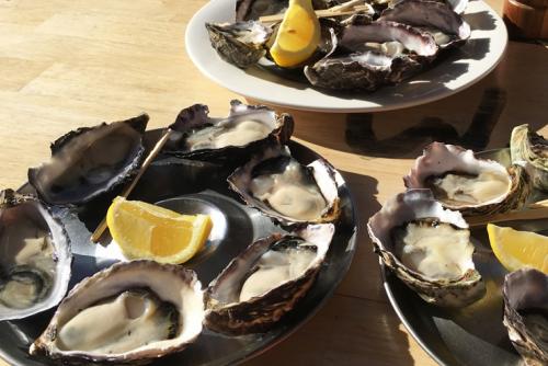 ブルーニー島名物の牡蠣