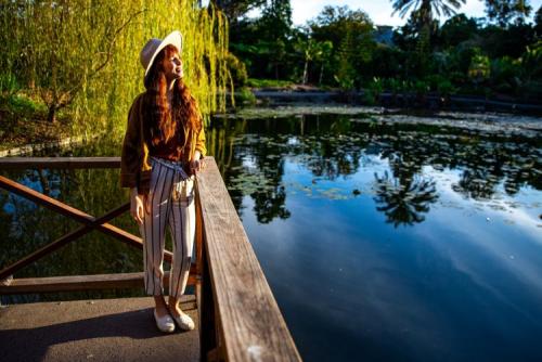 ブリスベン マウント・クーサ植物園(イメージ）