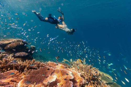 インターコンチネンタル・ヘイマンアイランドリゾート アクティビティ一例