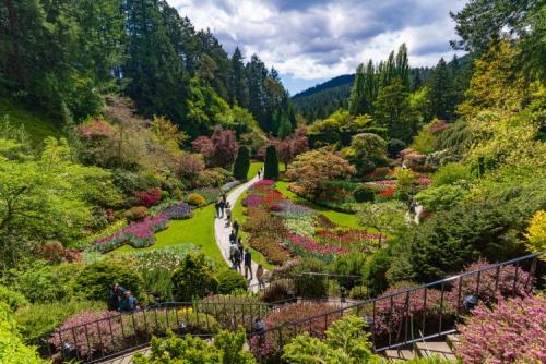 ブッチャートガーデン（イメ－ジ）