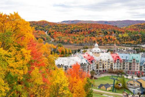 ローレンシャン地方の紅葉（イメ－ジ）