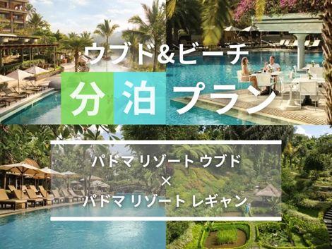 バリ島満喫　パドマ ウブド×レギャンの2ホテル分泊プラン
