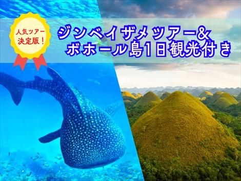 【人気ツアー決定版】ジンベイザメツアー＆ボホール島1日観光付き！