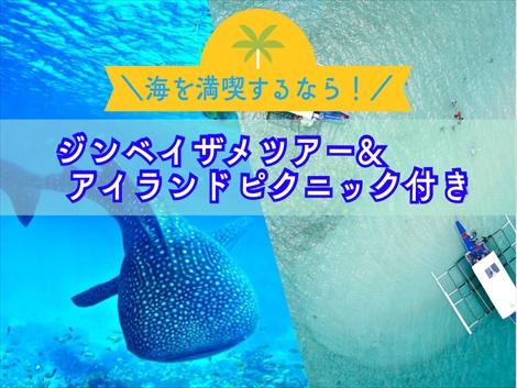 【海を満喫するなら】ジンベイザメツアー＆アイランドピクニック付き！